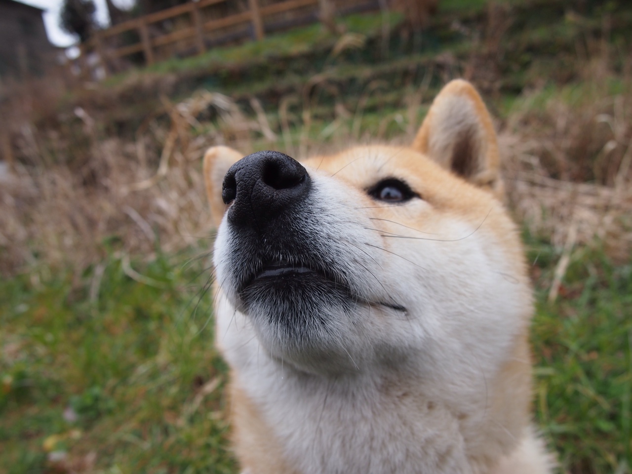 法国男足奥运经验教训值得总结，男足法国队奥运会阵容