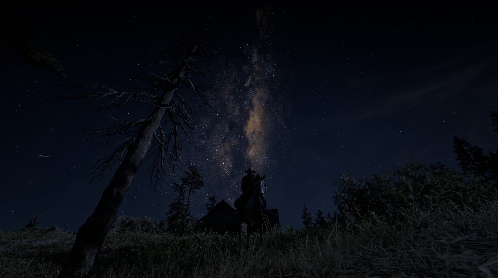 潜力新星：被看好的未来“超级巨星”们，潜力新星是什么意思