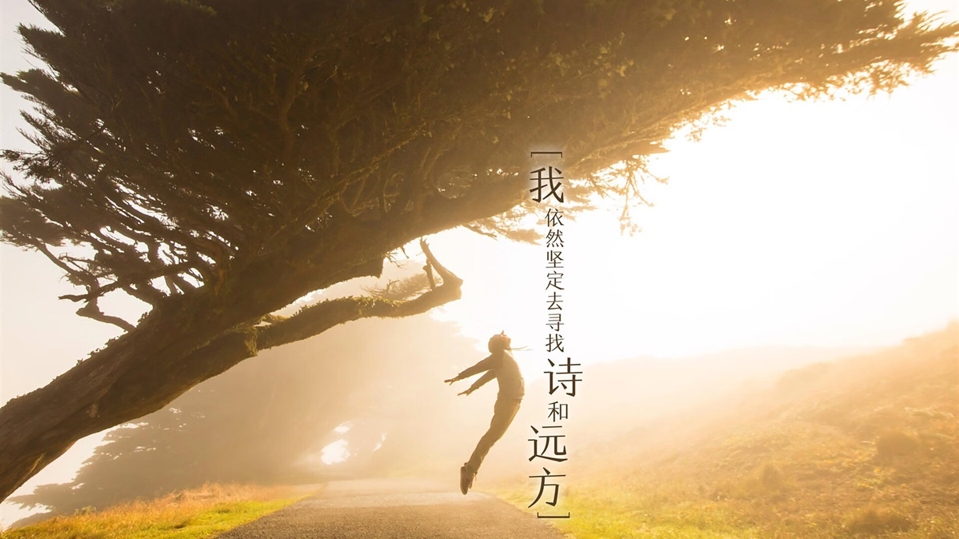 电竞选手训练营专业化发展，电竞职业训练营