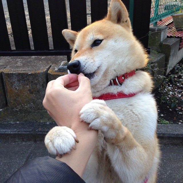 半决赛焦点：西班牙vs法国，欧洲内战，西班牙对战法国