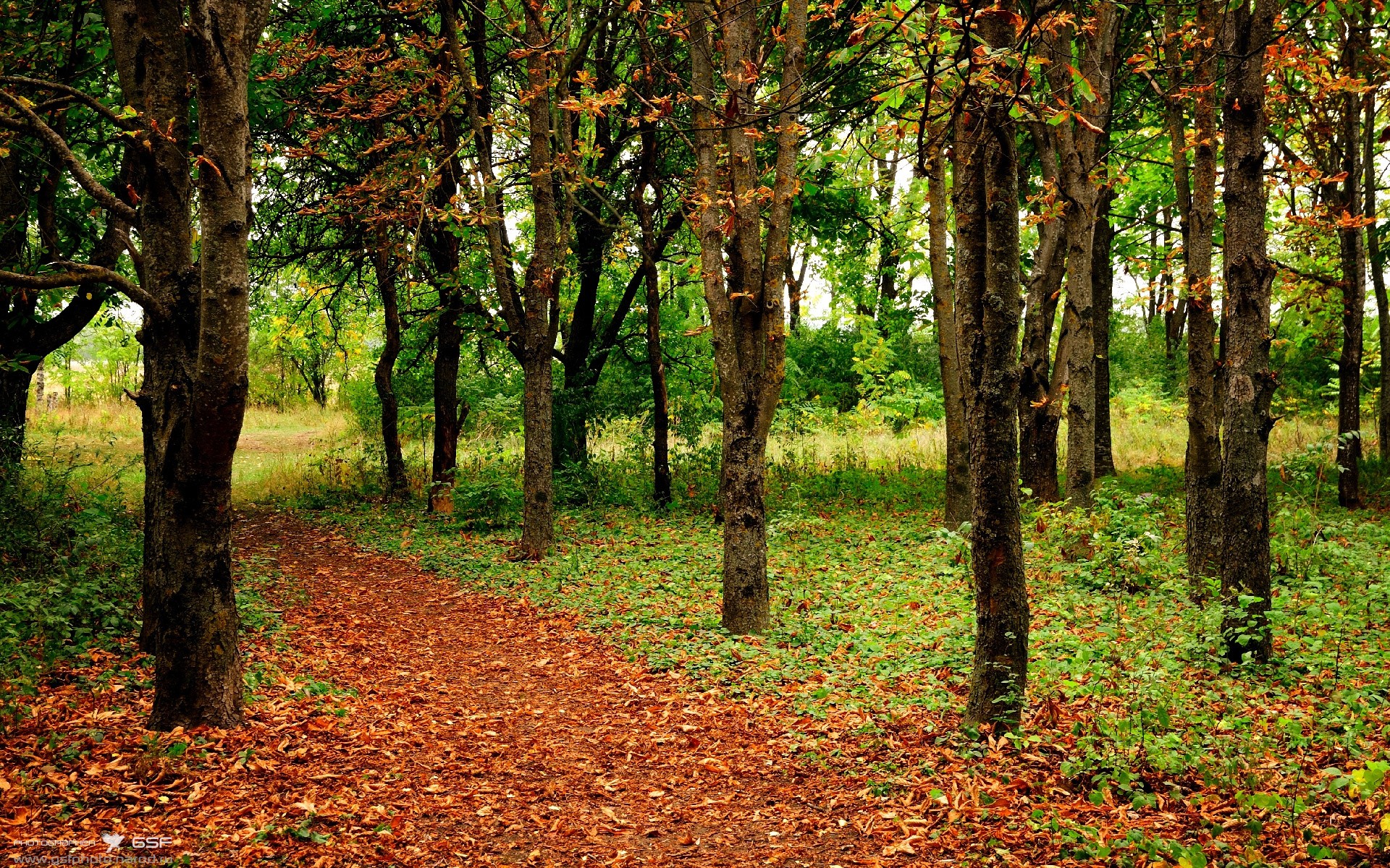 川崎前锋主帅谈战术调整，川崎前锋近况