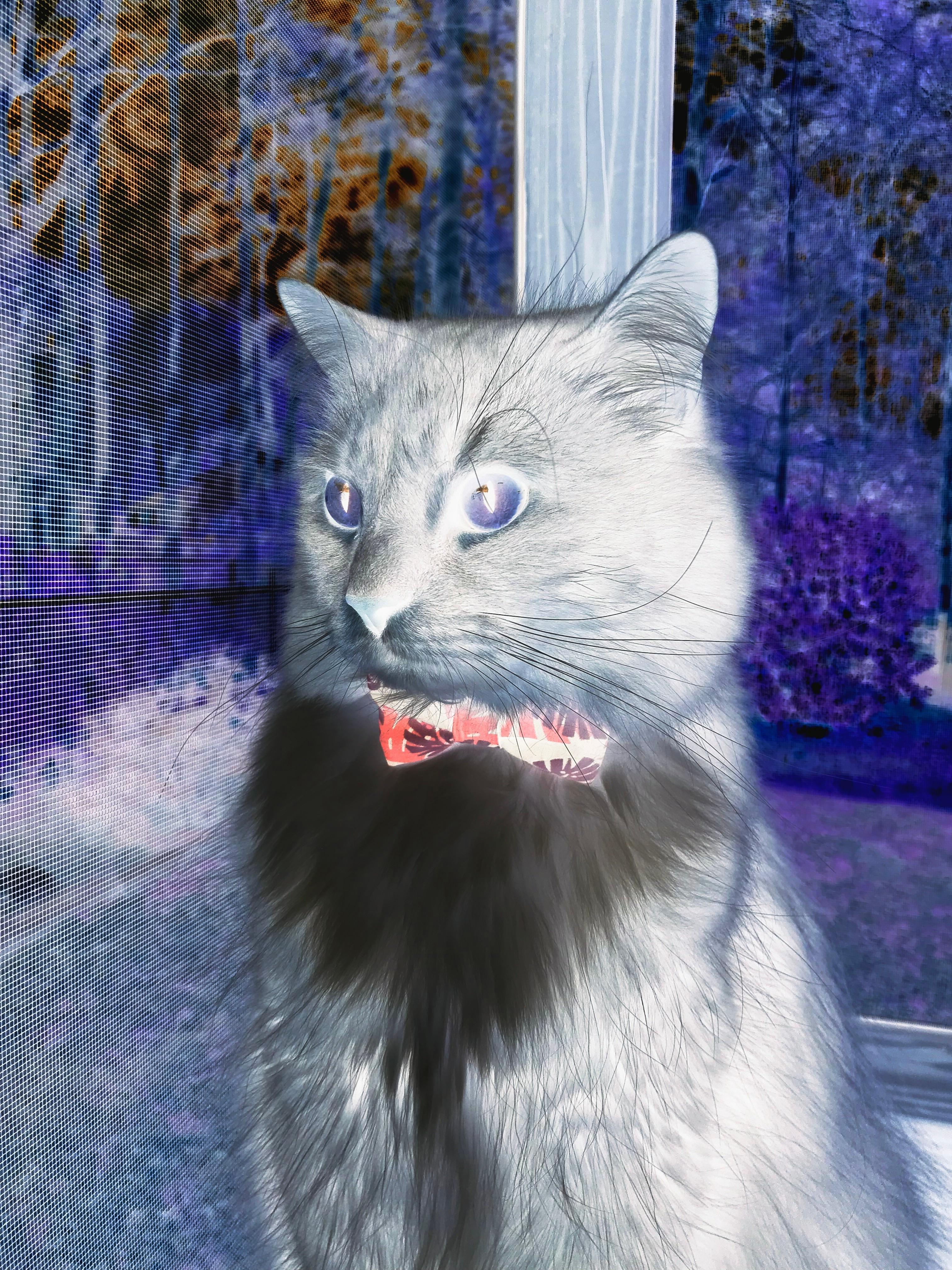 山西汾酒球队攻防效率显著提升，山西汾酒队战绩