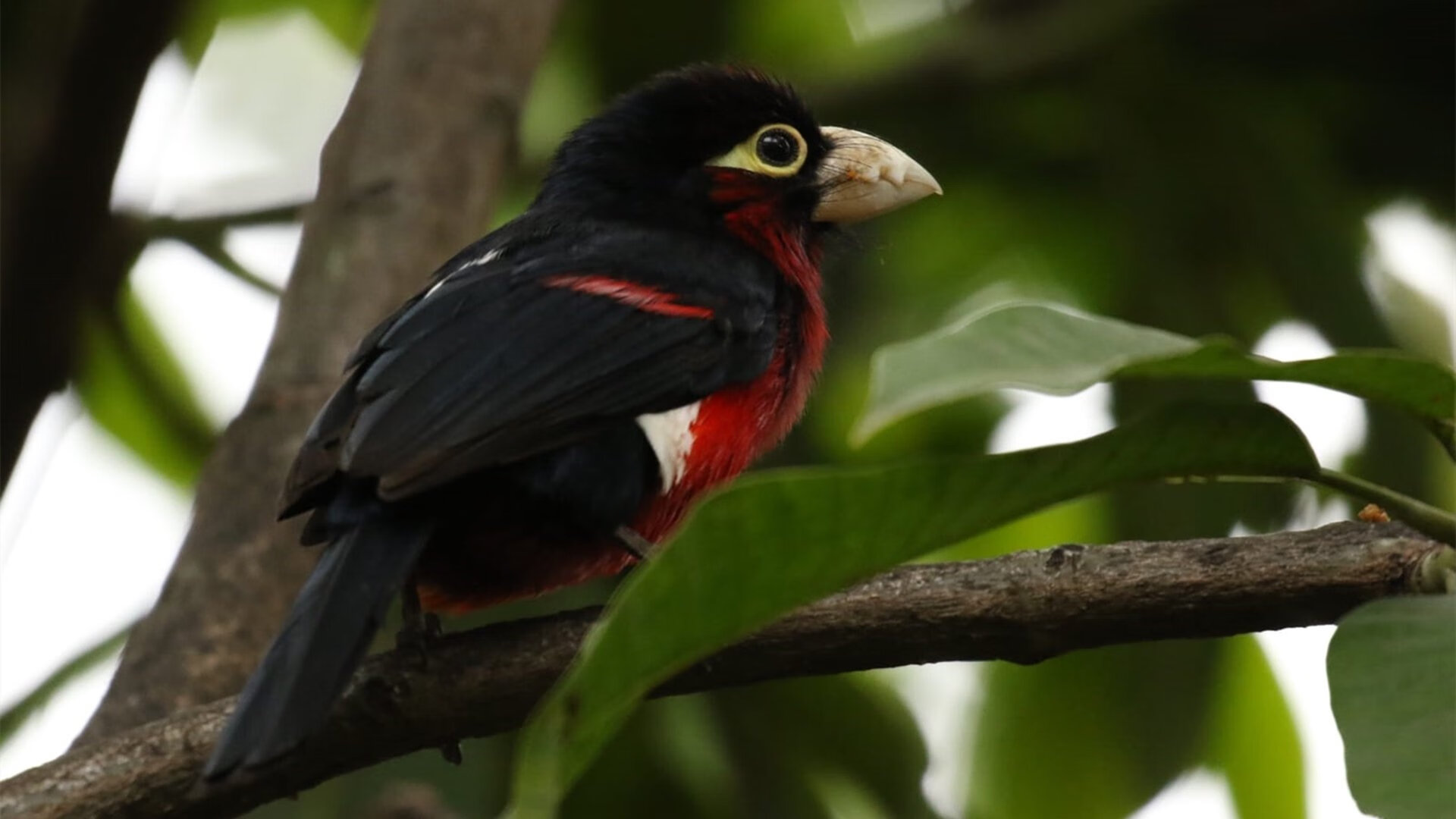 强者胜出:比赛中诞生出不少顶尖的豪强,强者出征后面一句