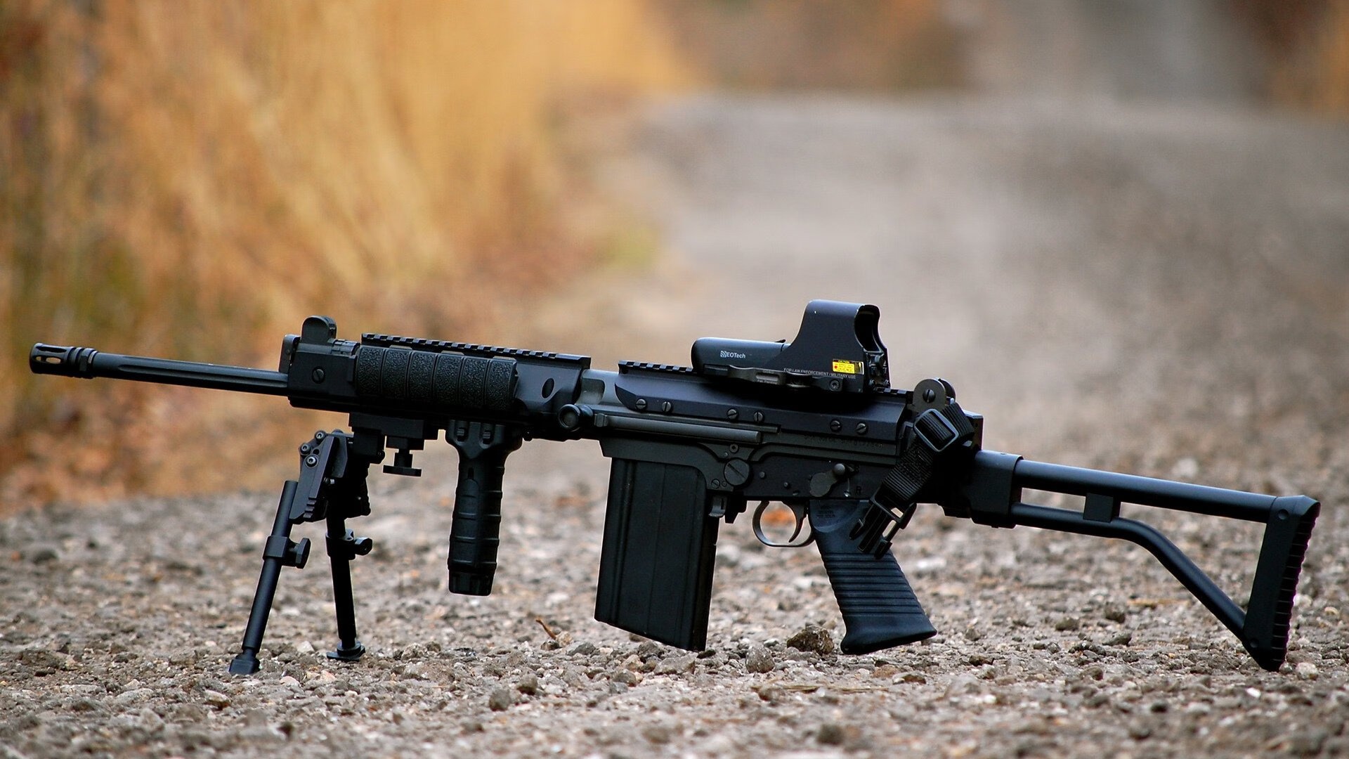 里尔球员伤病名单更新,里尔队大名单