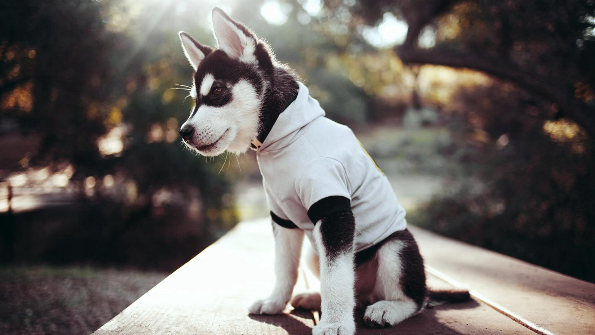 中超边路战术反复使用频率对比图，中超边前卫