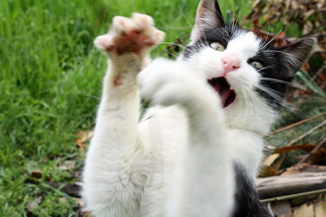 中超球队年内战术风格变动记录，中超实力展望