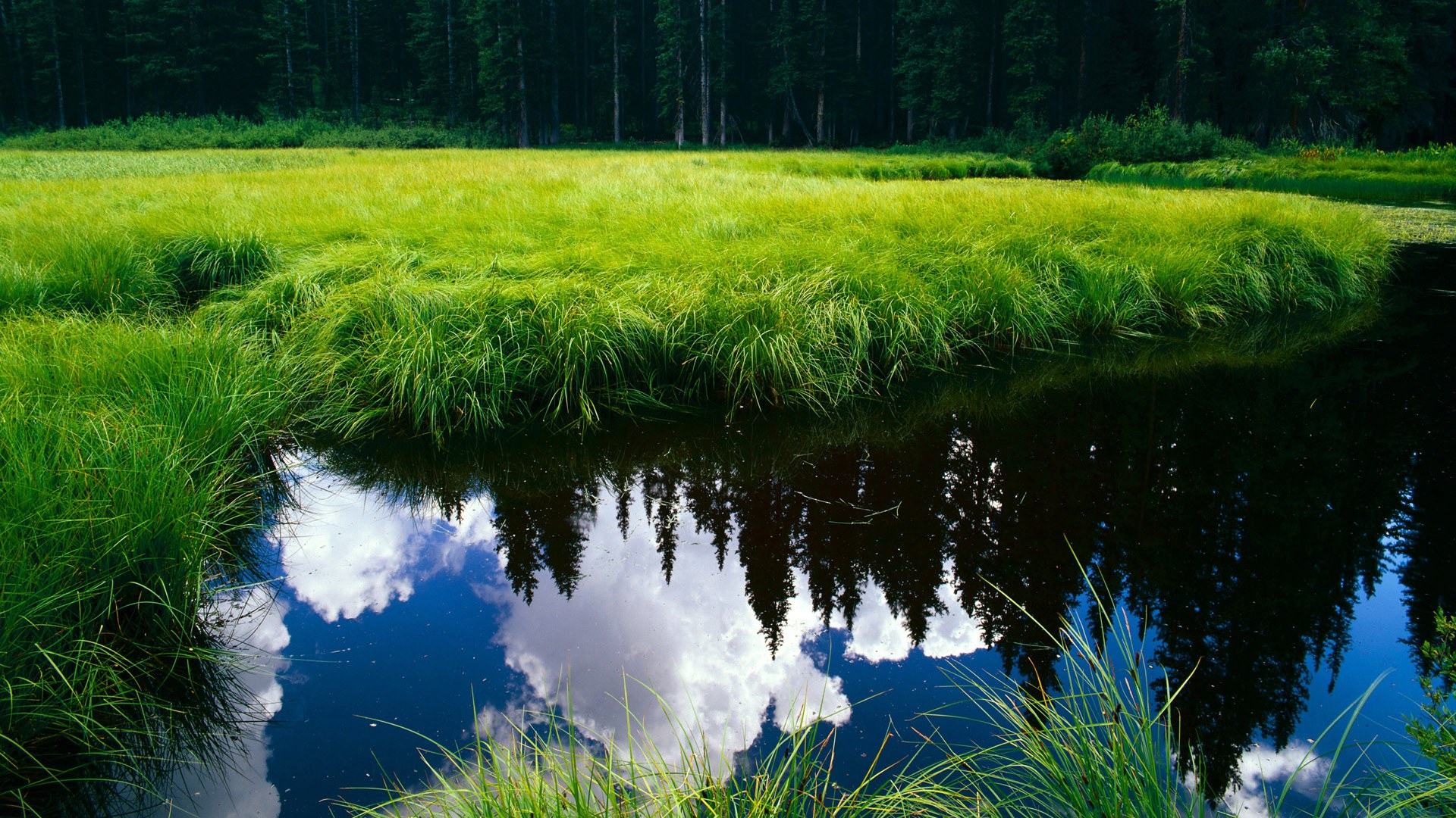 高校运动员心理健康维护机制及干预措施研究,运动员心理干预的模式和策略