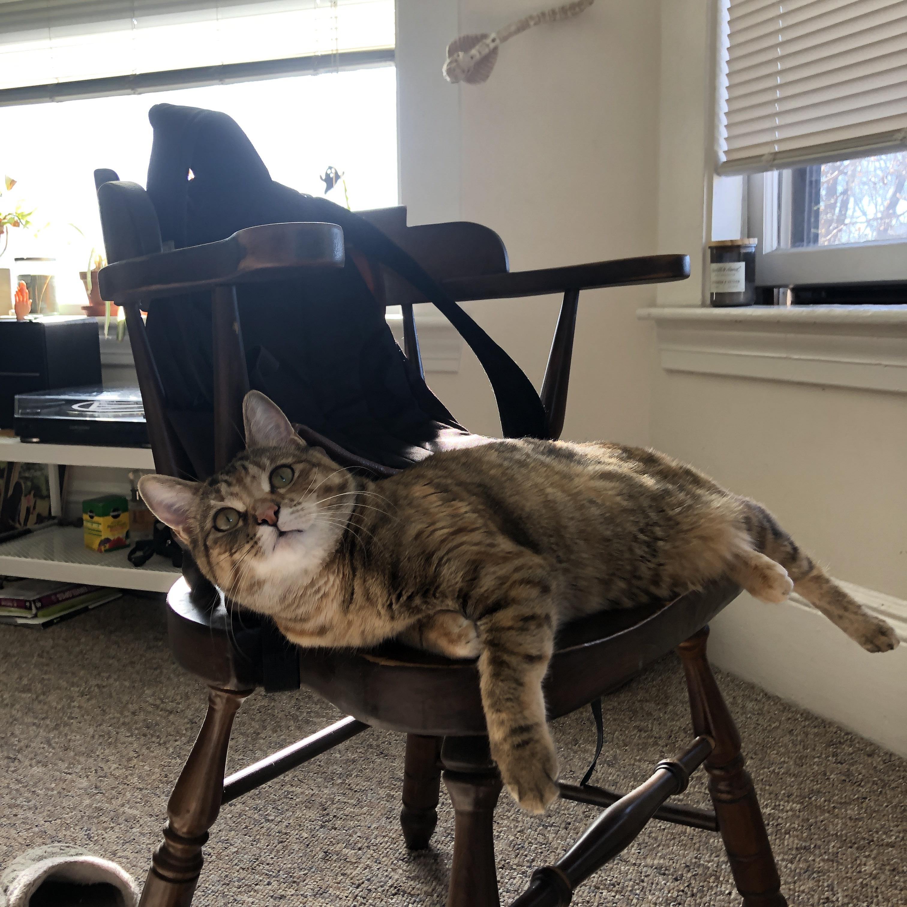 中国女篮出战热身赛连胜 展现稳定状态,中国女篮热身比赛