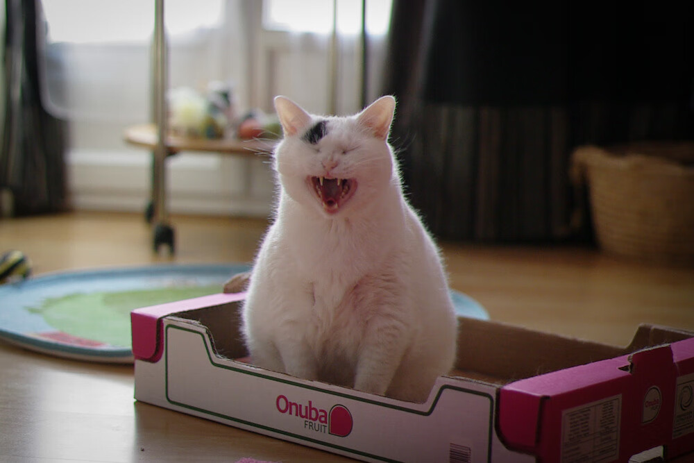 中国男篮重点演练挡拆配合 提高战术执行效率,中国男篮断档