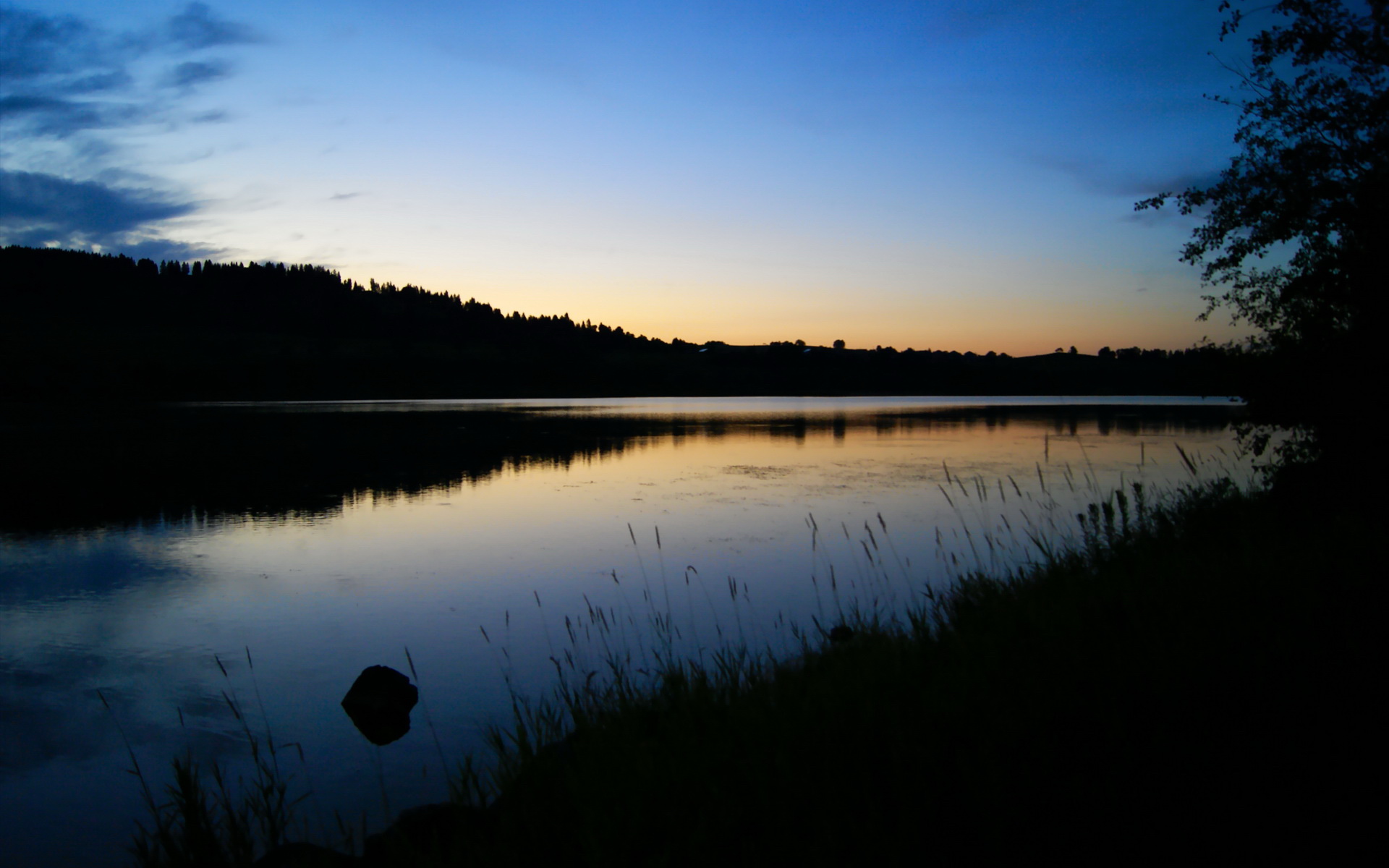 突尼斯希望门将获评全队最高分，突尼斯足球队