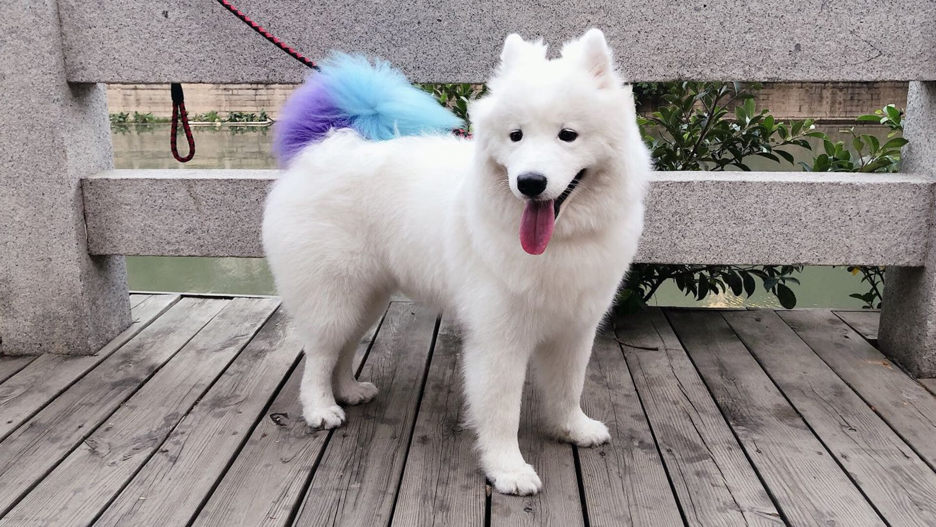 决赛之夜 覃海洋无惧压力上场,覃海洋 哪里人