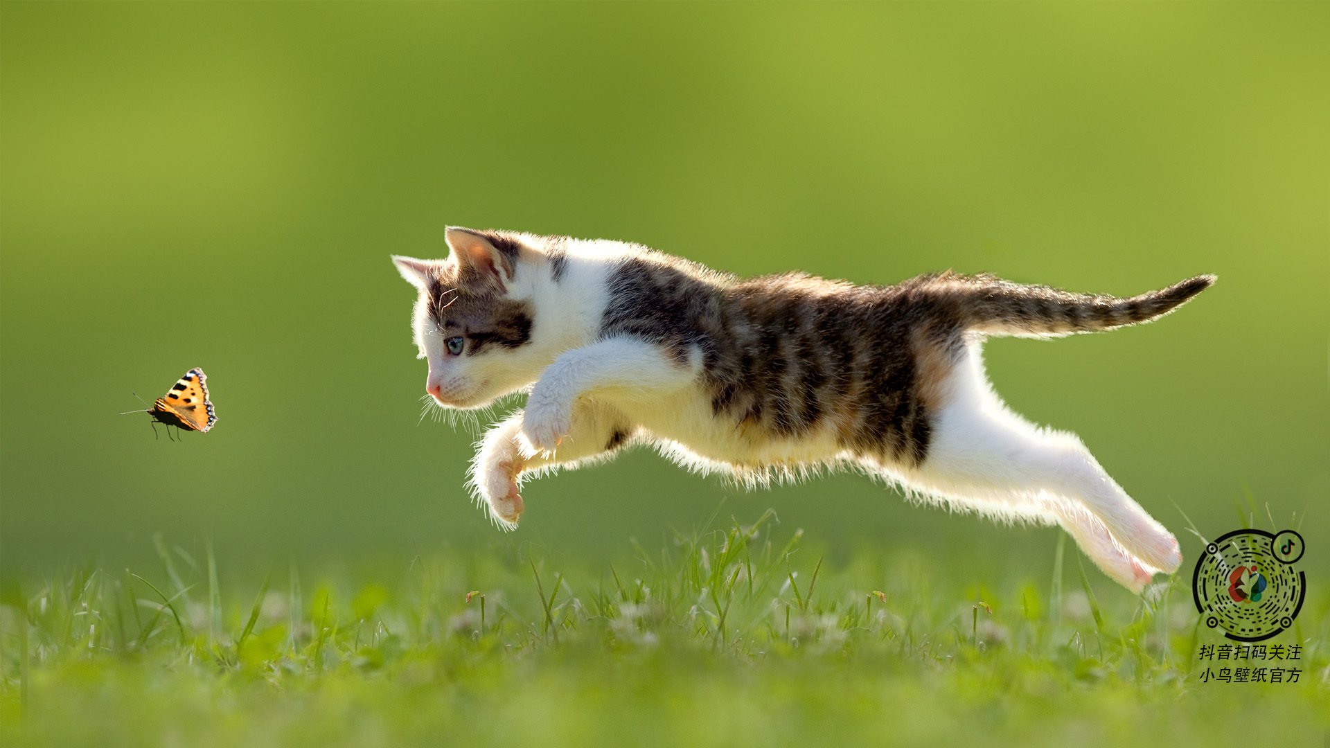 奇才抢下关键篮板终结对方反扑希望，奇才战胜篮网