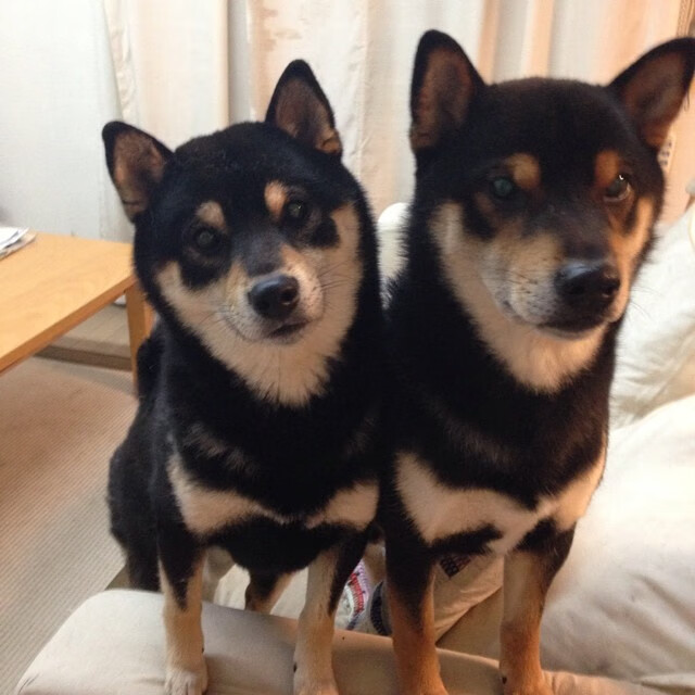 天气影响航班，比赛日程被动调整，天气航班延误会赔钱吗