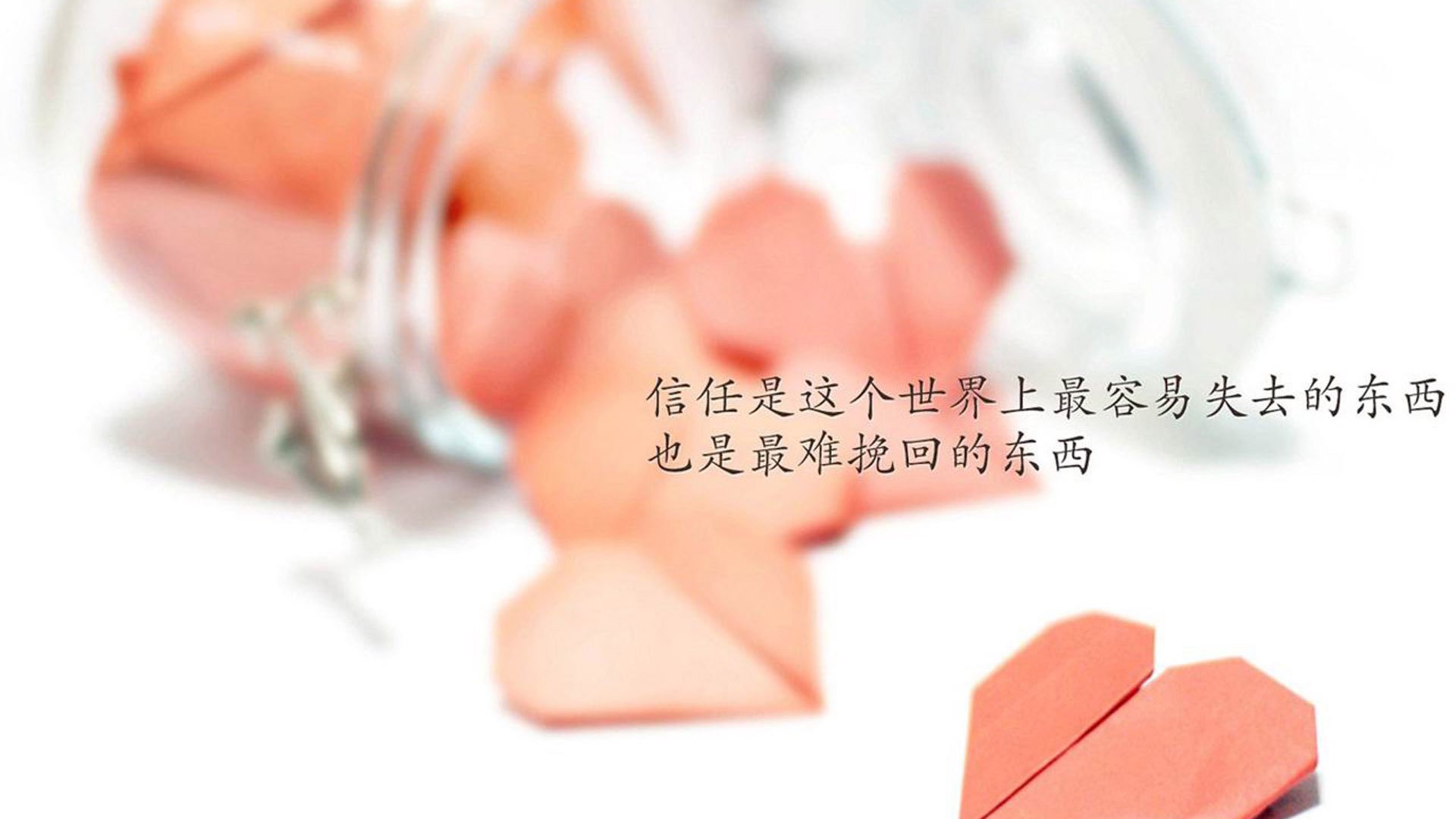 新西兰女子橄榄球引发全球关注，未来成发展重点，新西兰女子篮球队