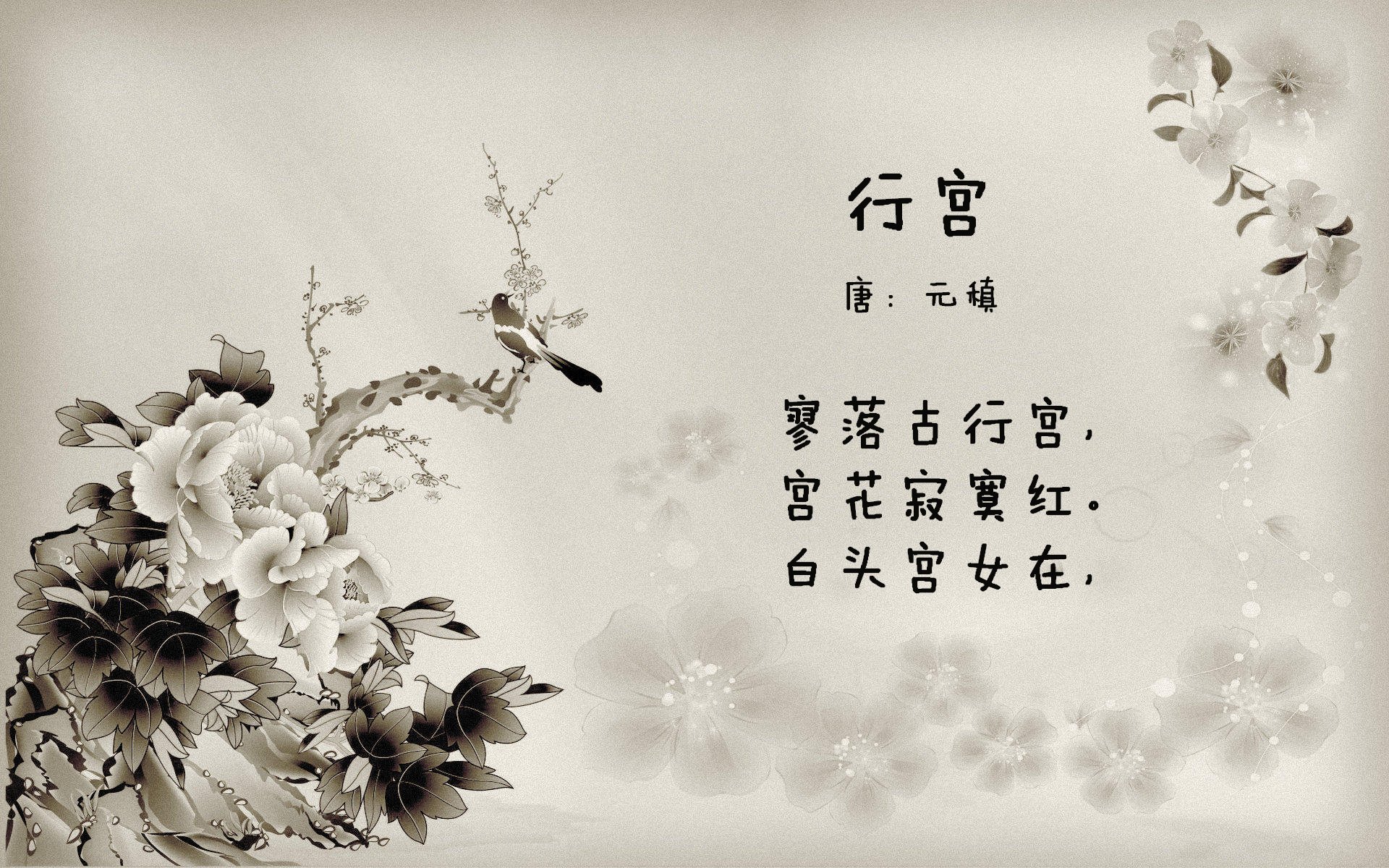 网球国家队年轻阵容挑战国际强队,网球国家队男队教练