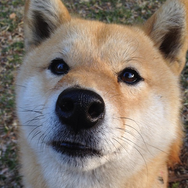 英超霸气来袭:每一场都令人期待!,英超霸气来袭_每一场都令人期待吗