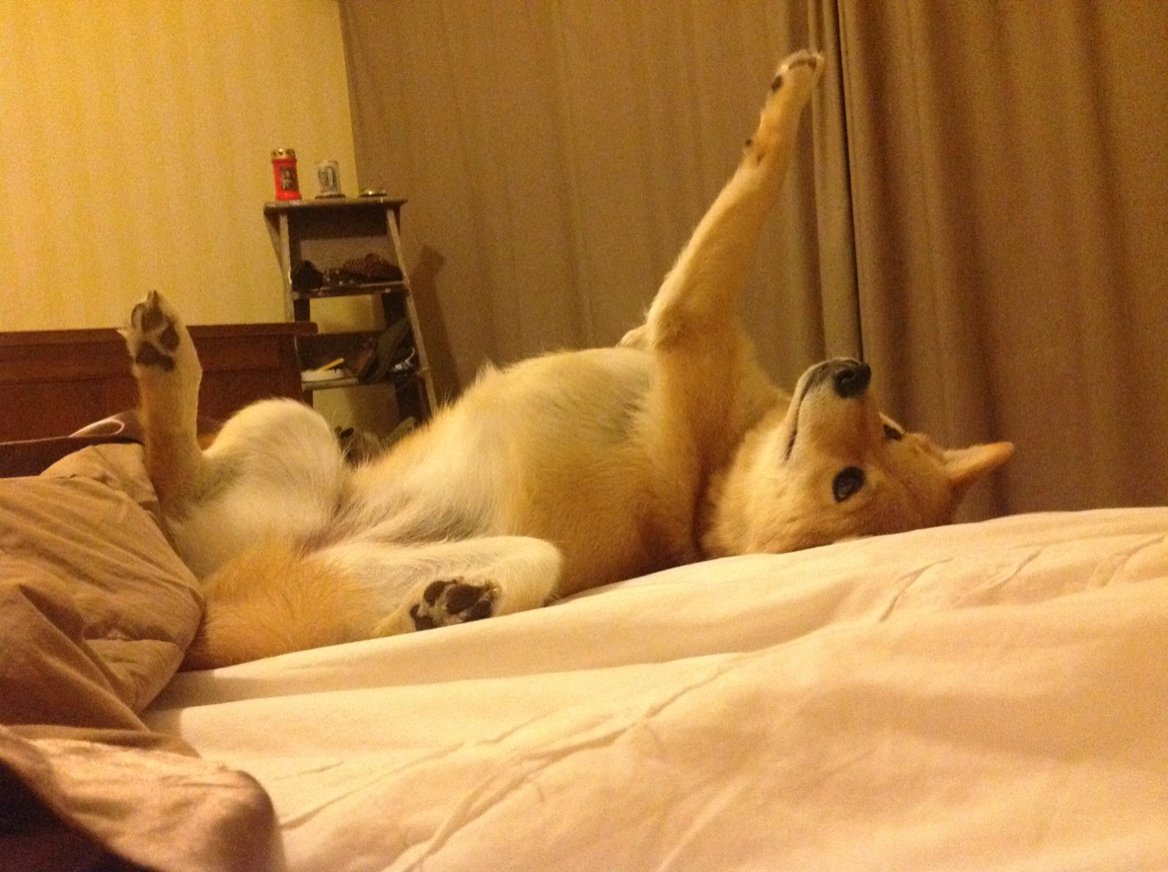 萨默·麦金托什用实力回应所有质疑，麦金托什设计的作品